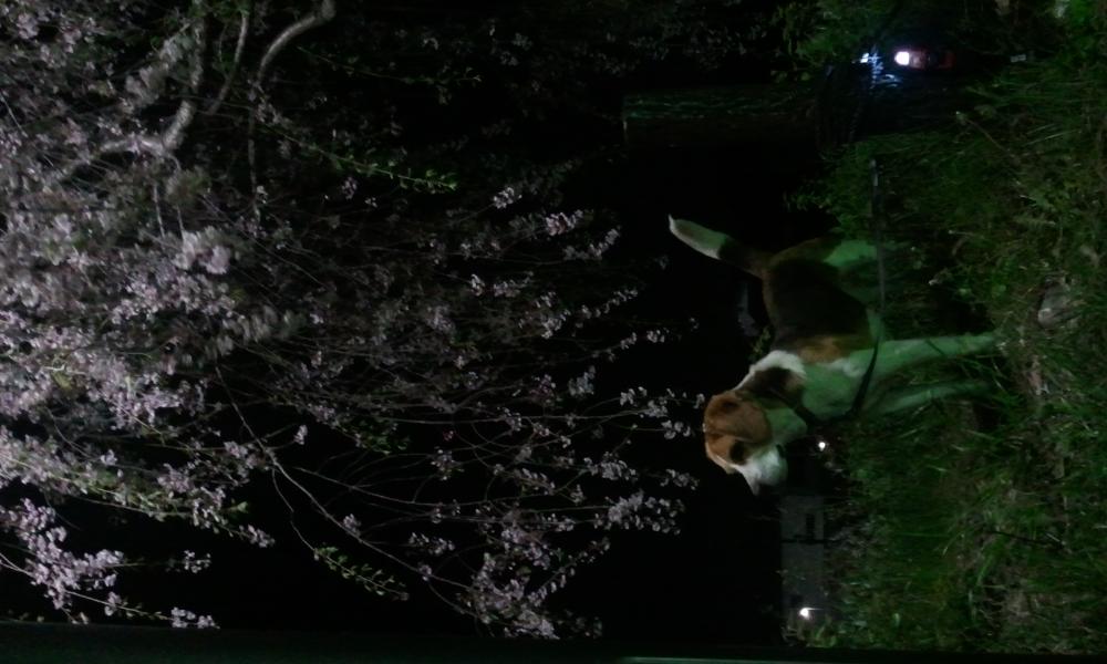 2012-04-25 20.17.10.jpg